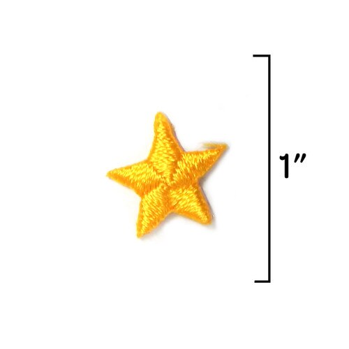 GSEIWI Community Service Star